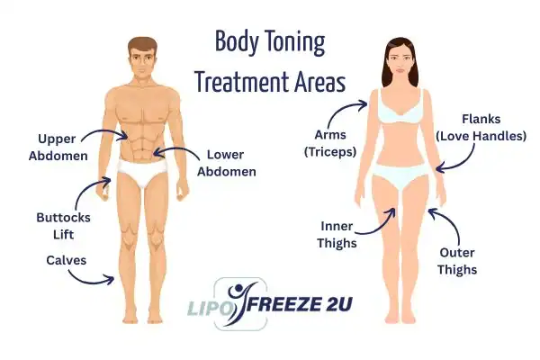 Graphic showing where you can have Body toning Treatment Telford on your body